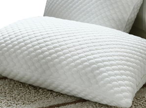 羽绒枕 品质枕芯与纺织品工艺的完美融合